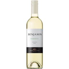Vinho Nieto Senetiner Benjamim Chardonnay Branco 750ml