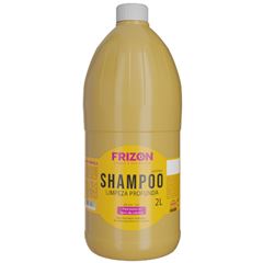 Shampoo Profissional Frizon Limpeza Profunda 2lt