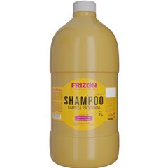 Shampoo Profissional Frizon Limpeza Profunda 5lt