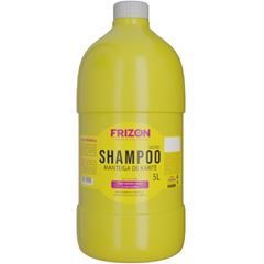 Shampoo Profissional Frizon Manteiga Karite 5lt