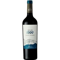 Vinho Argentino Andelina 1300 Cabernet Sauvignon Tinto 750ml